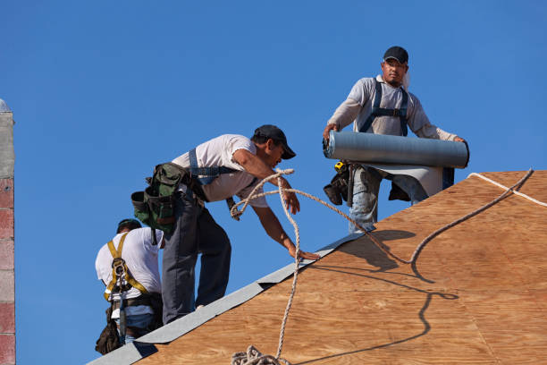 Best Roof Gutter Cleaning  in Greenbriar, VA